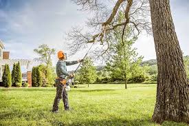 Lawn Watering Services in Lindsay, CA